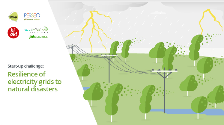 IBERDROLA. START-UP CHALLENGE: RESILIENCE OF ELECTRICITY GRIDS TO NATURAL DISASTERS