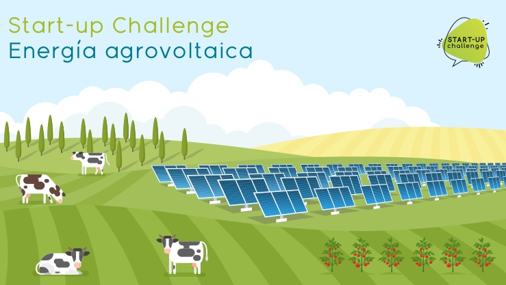 IBERDROLA - 'START-UP CHALLENGE': ENERGÍA AGROVOLTAICA