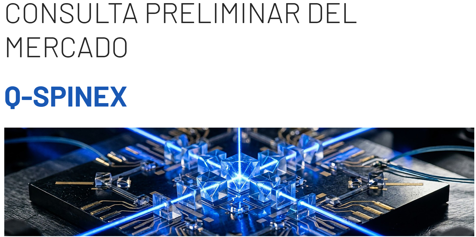 Consulta preliminar del Mercado (CPM) Q-SPINEX